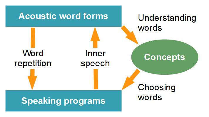 Speech production: motor programs and word forms