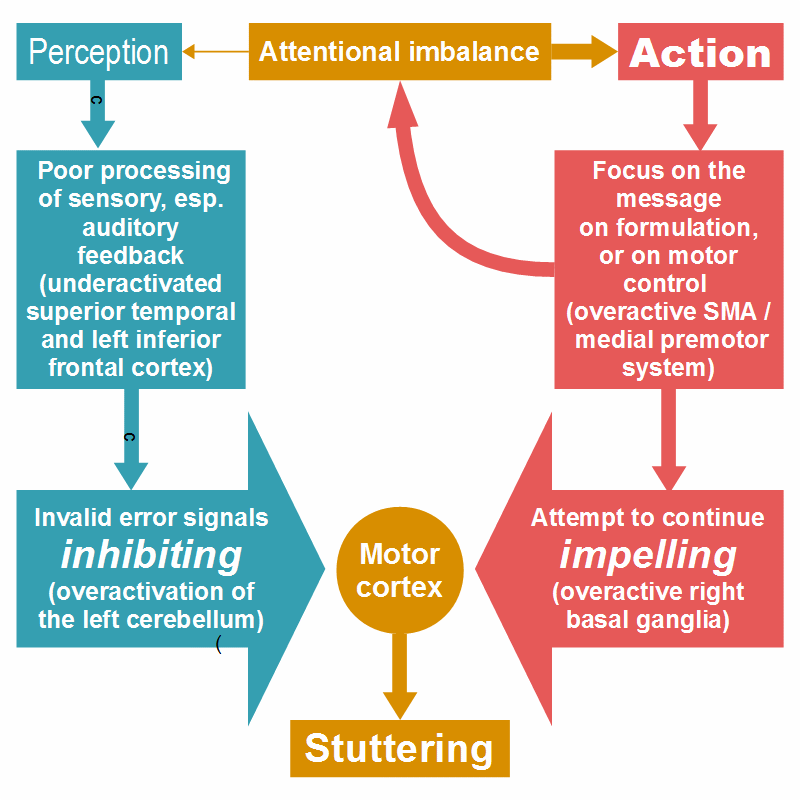 Causes of stuttering: two components