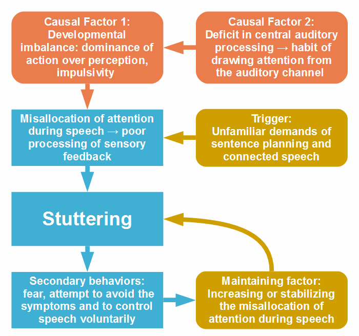 Cause of stuttering:,the causal chain